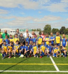 An image of a football pitch we constructed with a children's football team on it